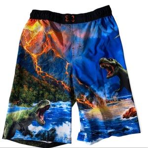 Wonder Nation Boys Graphic Dinosaur Swim Trunks size XL